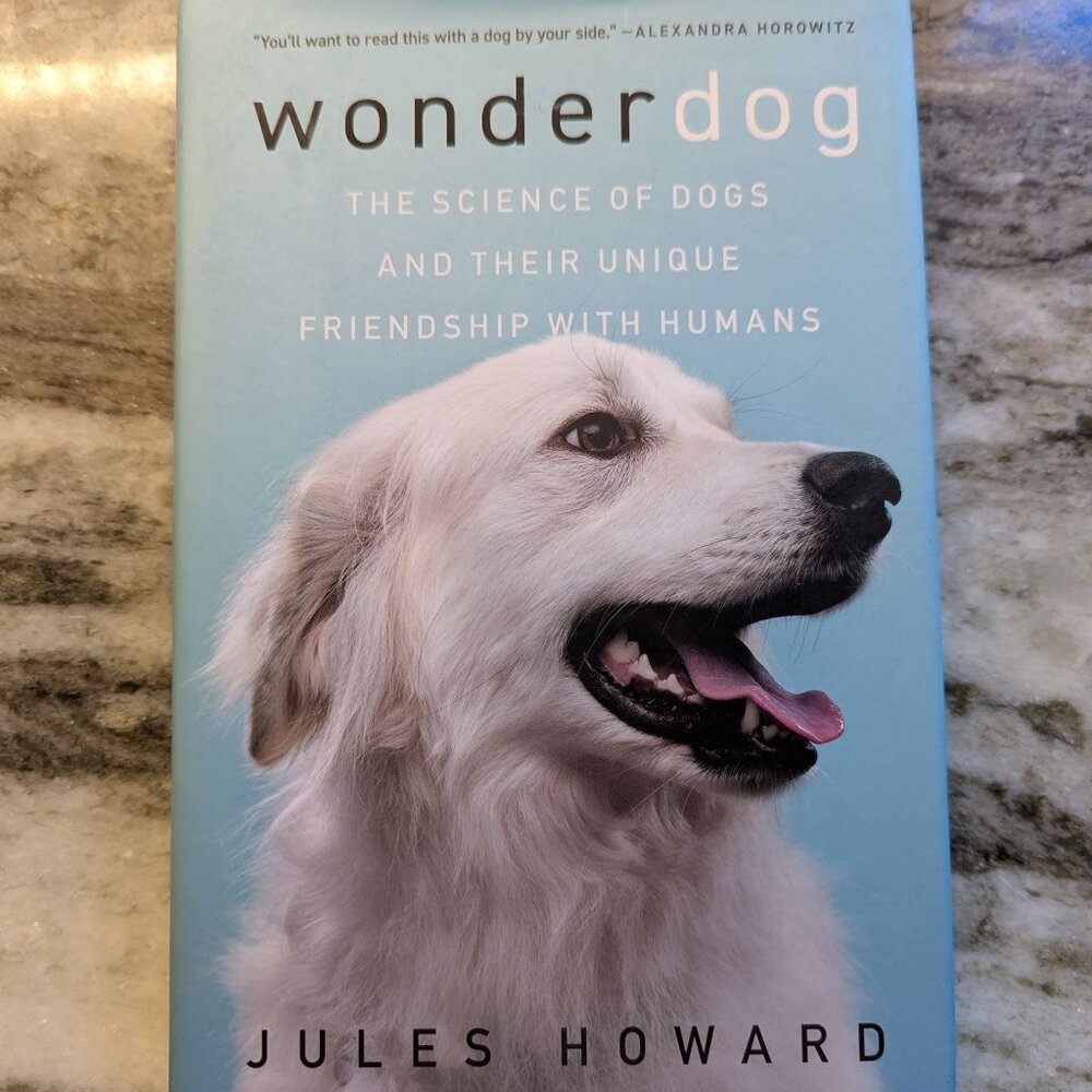 Hardcover book - Wonder Dog by Jules Howard